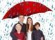 Prowe insurance
