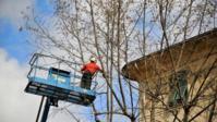Pittsburgh Tree Pros