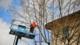 Pittsburgh Tree Pros