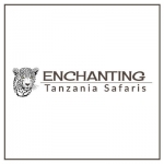 Enchanting Safaris