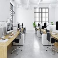 IVY Property- Cleaning Services Melbourne
