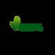Natural Herbs  Clinic