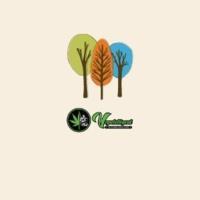 Vape Telligent