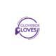 Glove Box Gloves