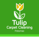 Tulip Carpet Cleaning Potomac