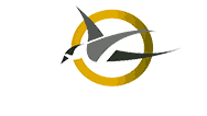 A2Z Packers