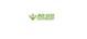 Buy Runtz Weed Strain Online