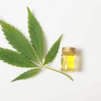 LucasWeed Dispensary