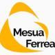 Mesua Ferrea