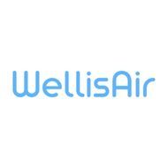 Wellis Air India