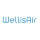 Wellis Air India