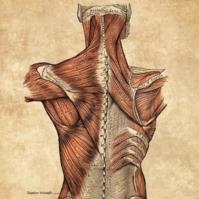 Sandpoint Medical Massage