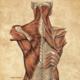 Sandpoint Medical Massage