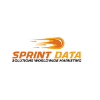 Sprint Data Solutions