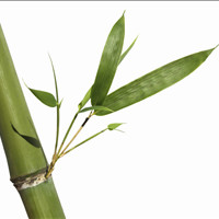 Tranquil Therapy Massage