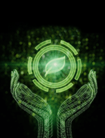 Ecoex Market