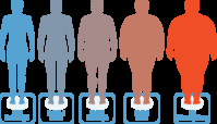 BMI Calculator 