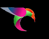 Rns Software Software Pvt Ltd