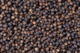 blackpepperlowprice Greenspices