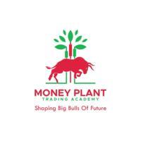 Money Plant Trading Academy