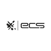 Electronic Cash Systems