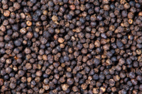 bestblackpepper blackpepperlowprice