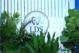 best dental  clinic in tellapur