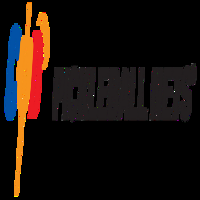 BestPickleball Nets