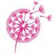 Dr Shahs Clinic for Male Infertility & Sexual health, Sexologist in Chennai