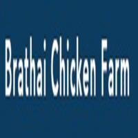 Brathai Chicken Farm