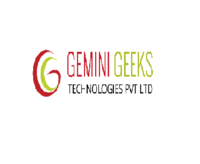 TheGemini Geeks