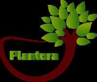 PlantoraApp
