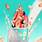 Marketing User