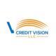 Credit Vision  LLC