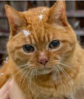 Glenridge  Animal Hospital