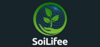 seo blogspot
