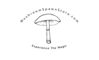 Mushrooms Pawn Store