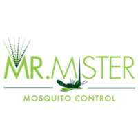 Mr. Mister