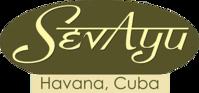 Sevayu Ayurveda Resort
