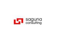 Saguna  Consulting
