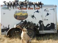Coteau View Hunts