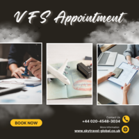 VFS Appointment skytravel-global