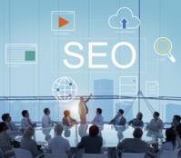 Website SEO Rankings