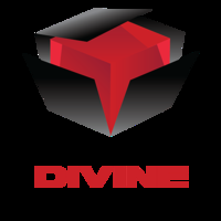Customdivineboxes 