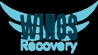 Wings Recovery