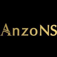 AnzoNS