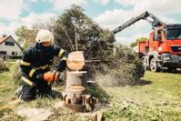Terre Haute Tree Pros
