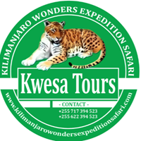 Kwesa Tours