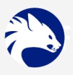 Aardwolfsecurity