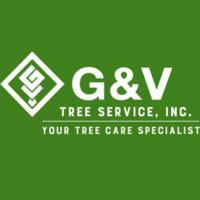 treeservicealexandria